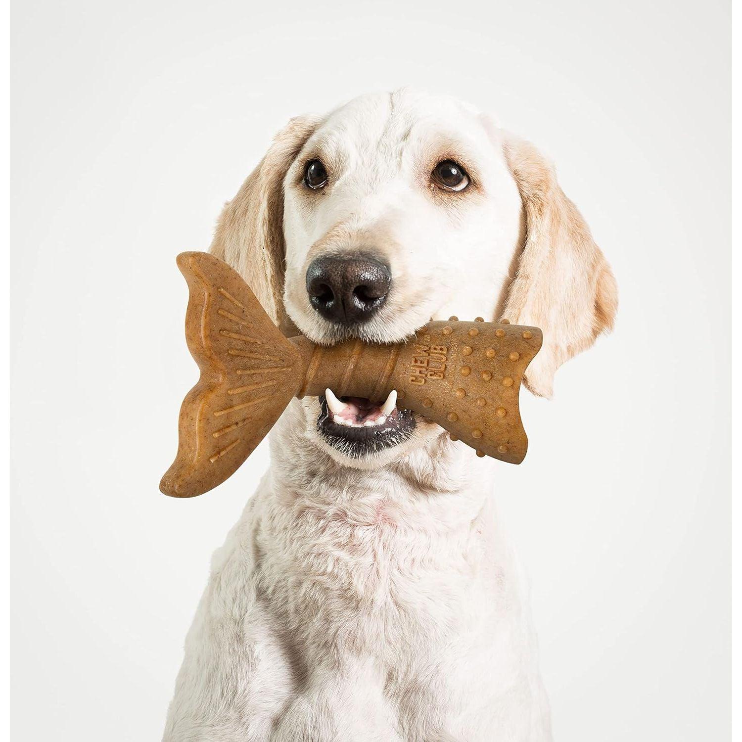 The Chew Club Powerbone Dog Chew Nylon & Bamboo Chew Twist Tail - Image 2