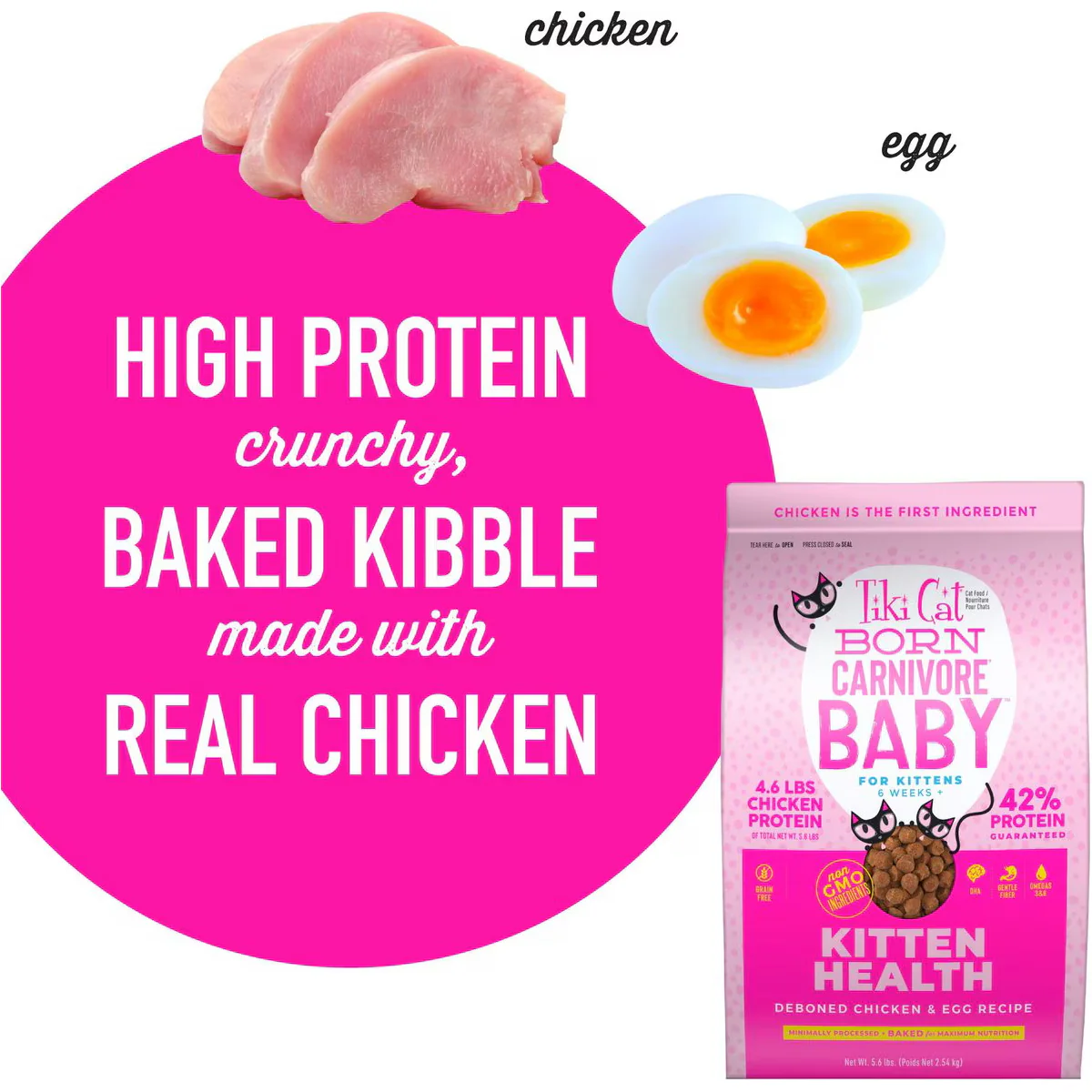 Tiki Cat Born Carnivore High Protein Kitten Chicken & Egg - Image 4