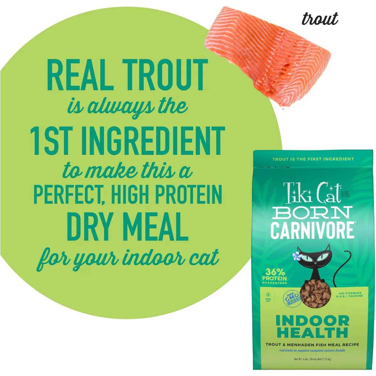 Tiki Cat Born Carnivore Indoor Trout & Menhaden Fish - Image 4