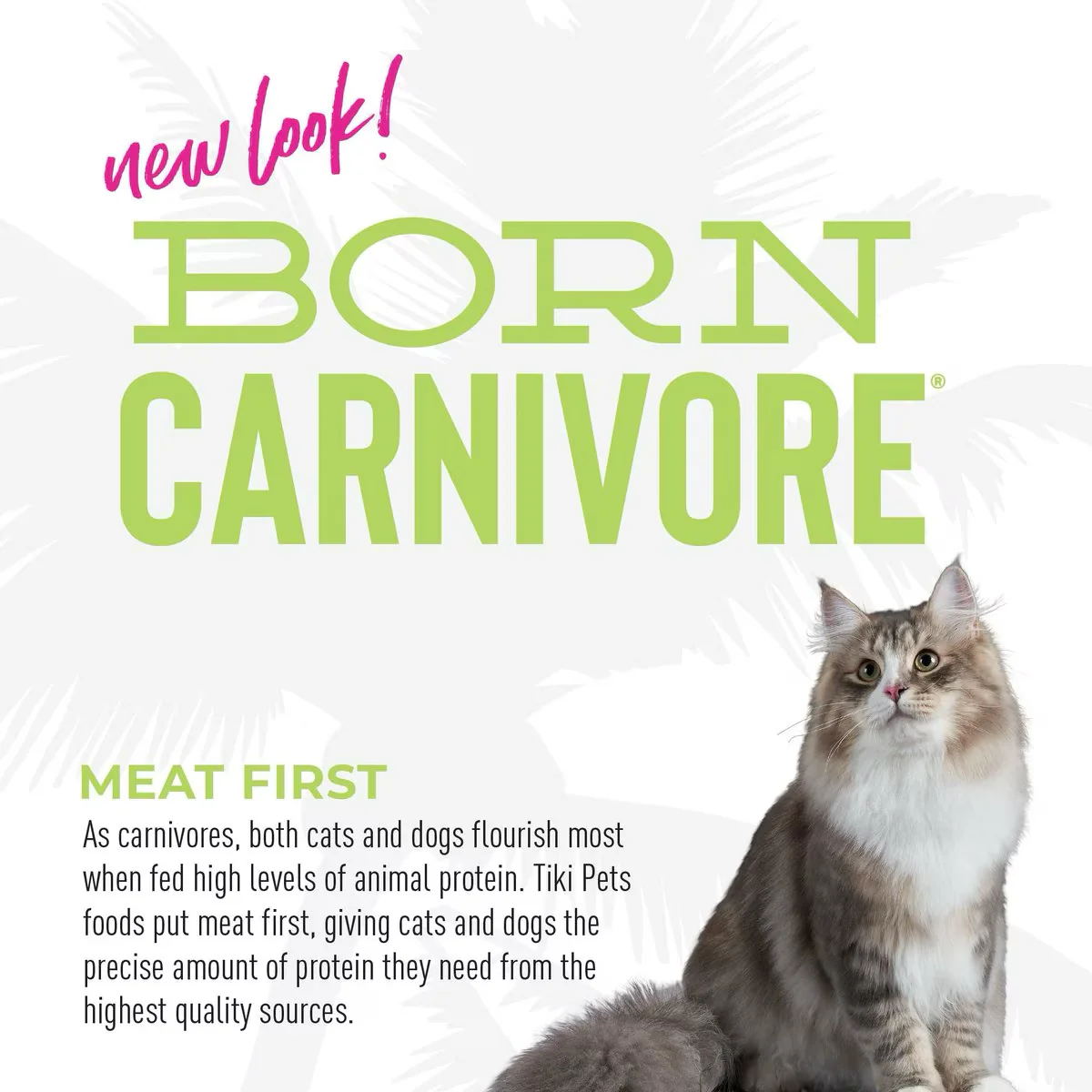 Tiki Cat Born Carnivore Indoor Trout & Menhaden Fish - Image 5