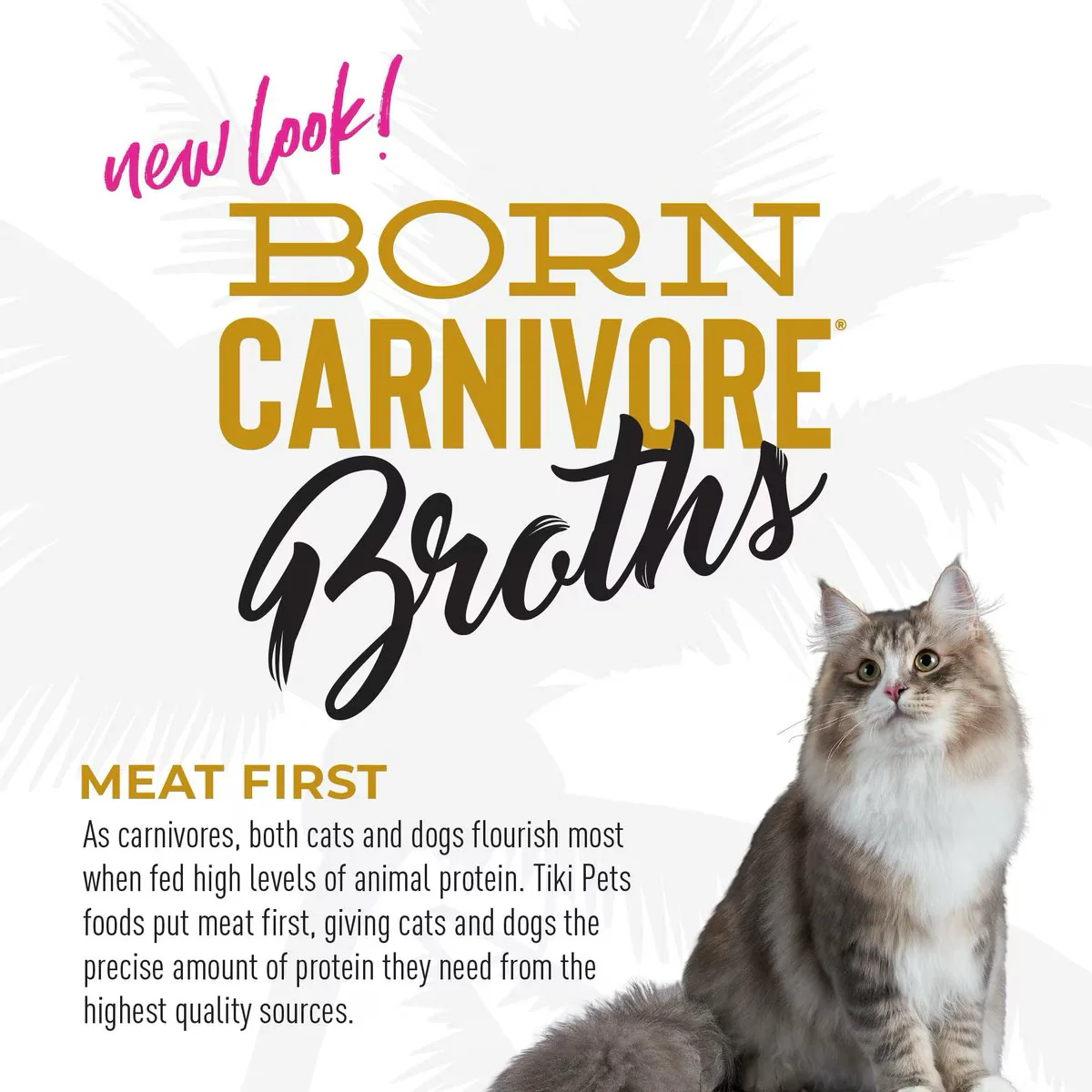 Tiki Cat Pouch Broths Grain Free Chicken - Image 6