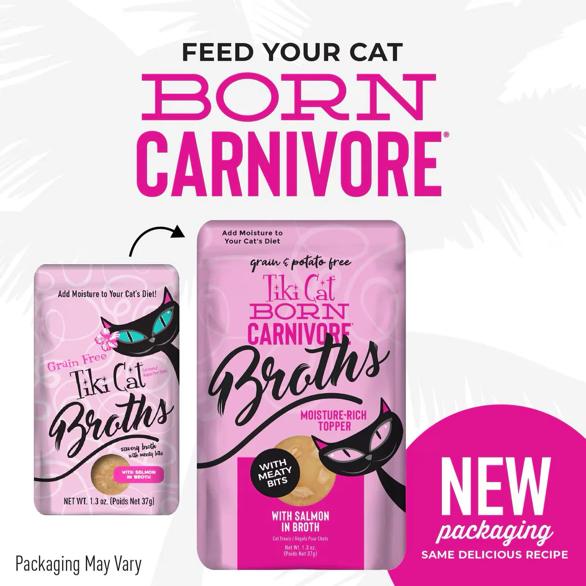 Tiki Cat Pouch Broths Grain Free Salmon - Image 2