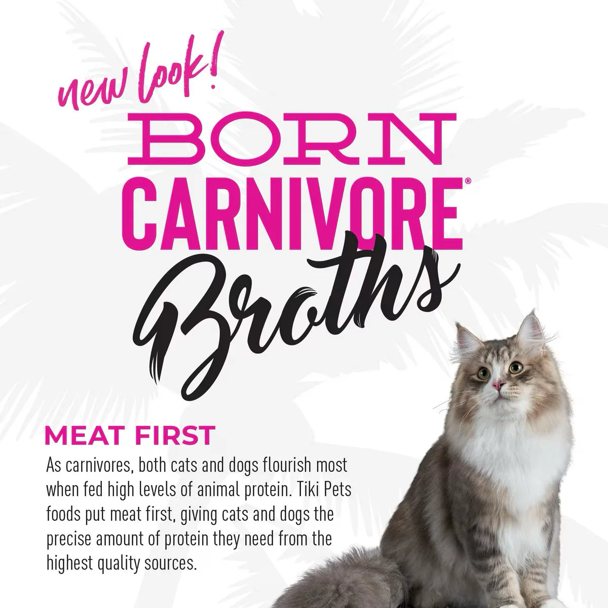 Tiki Cat Pouch Broths Grain Free Salmon - Image 6