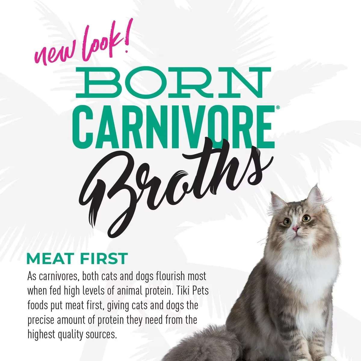 Tiki Cat Pouch Broths Grain Free Tuna - Image 5