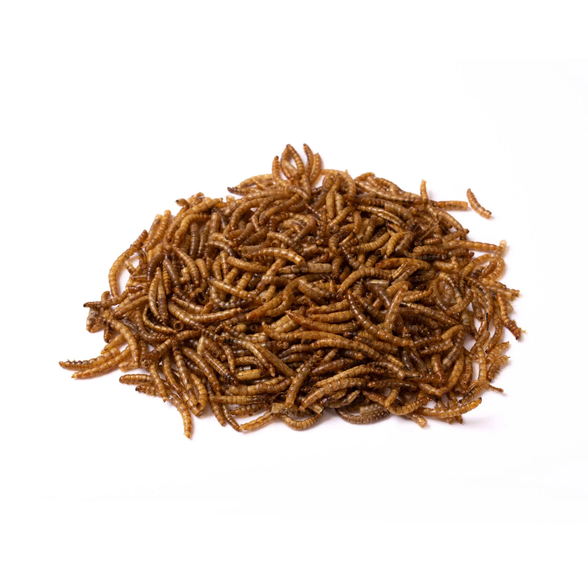 Topcrop Wild Bird Dried Mealworms - Image 2