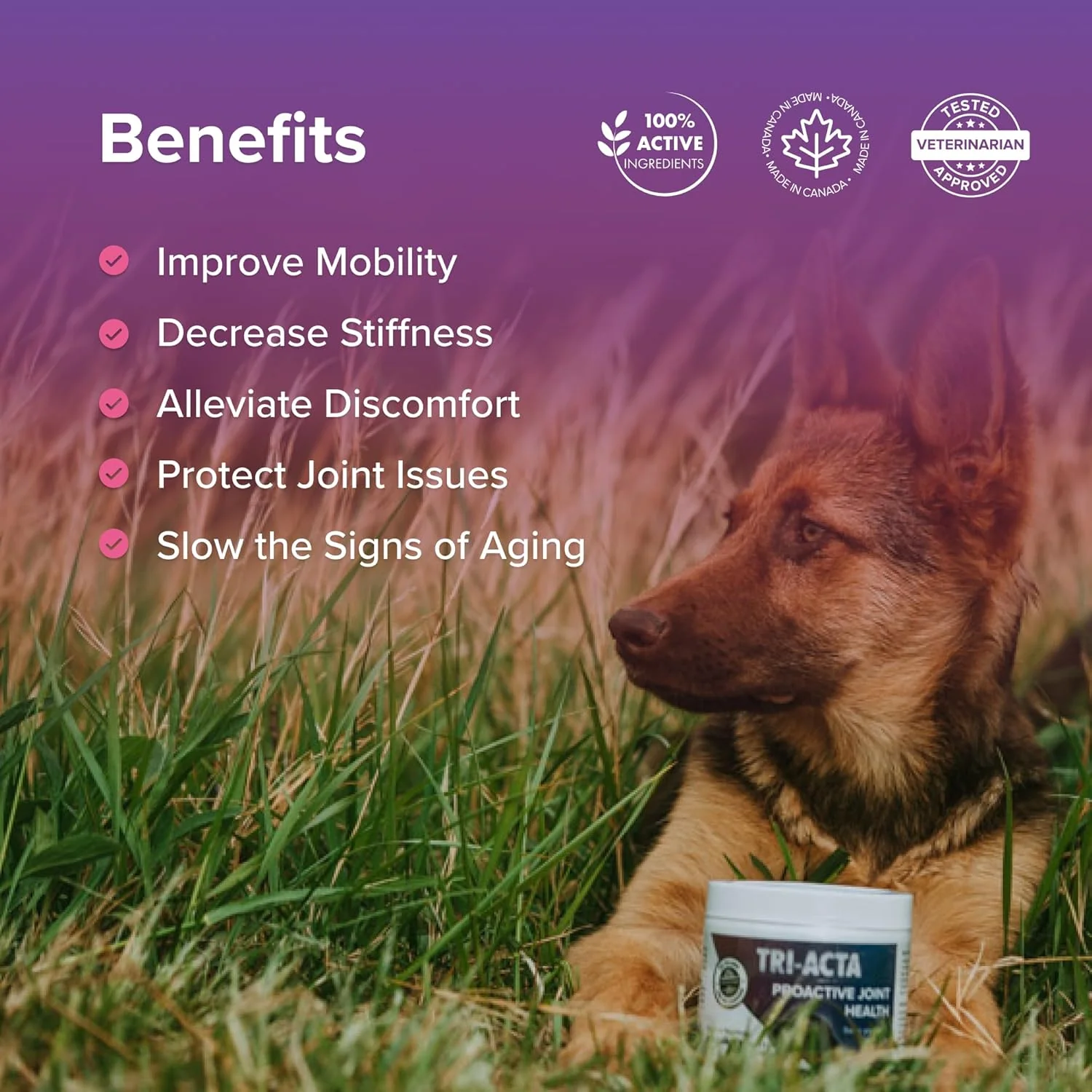 Integricare Muscle and Joint Supplement for Pets - Image 2