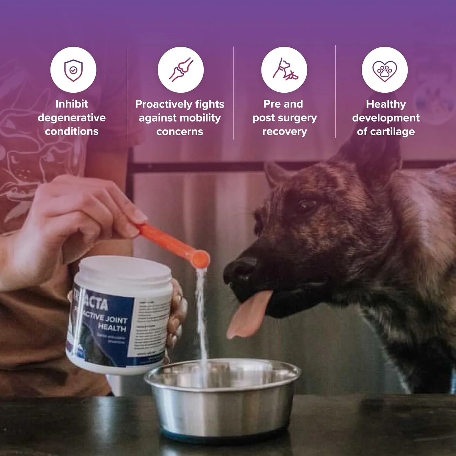 Integricare Muscle and Joint Supplement for Pets - Image 3