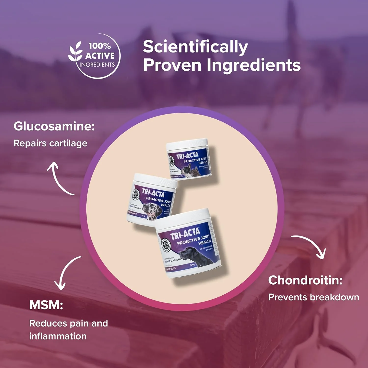Integricare Muscle and Joint Supplement for Pets - Image 4