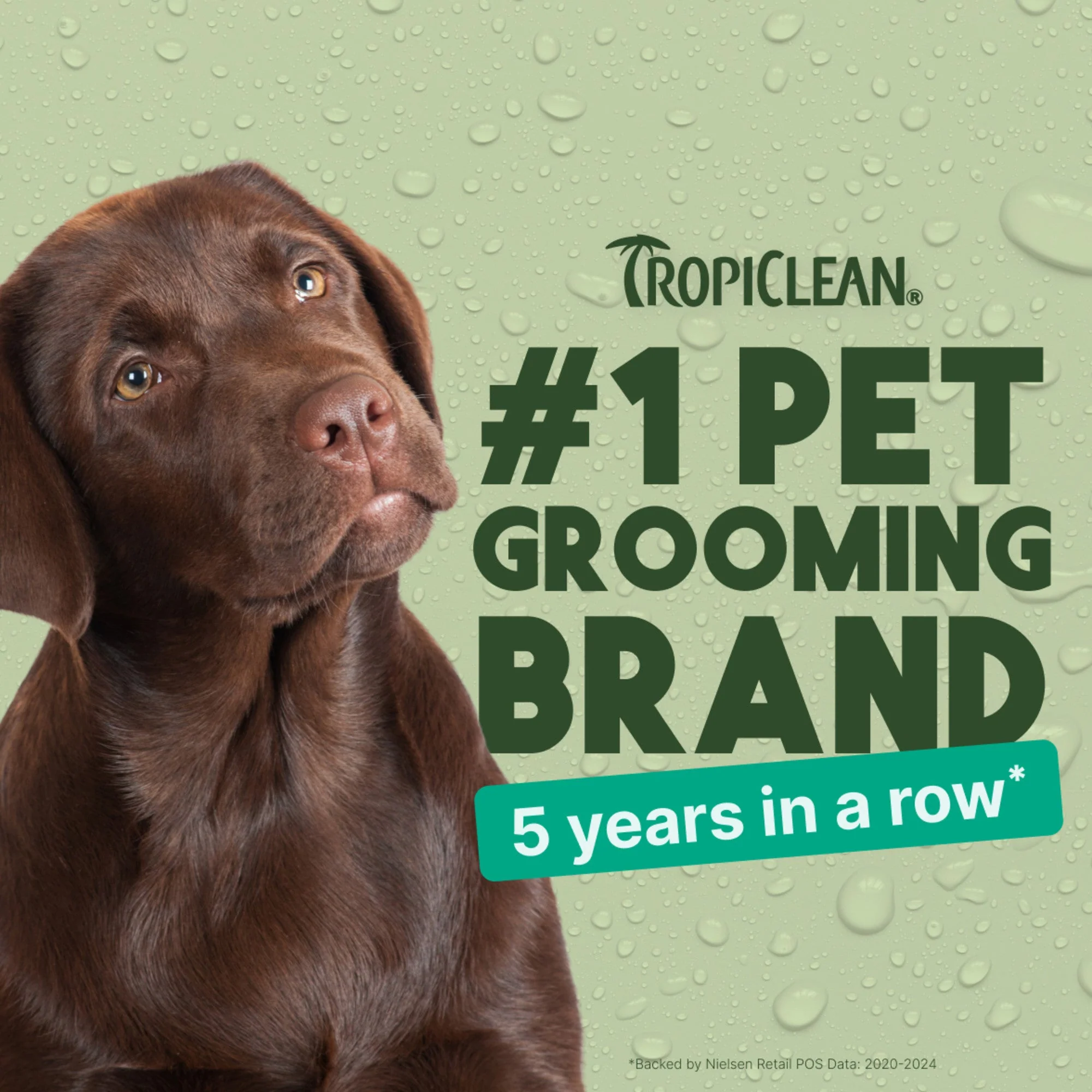 TropiClean Alcohol Free Ear Wash for Pets - Image 5