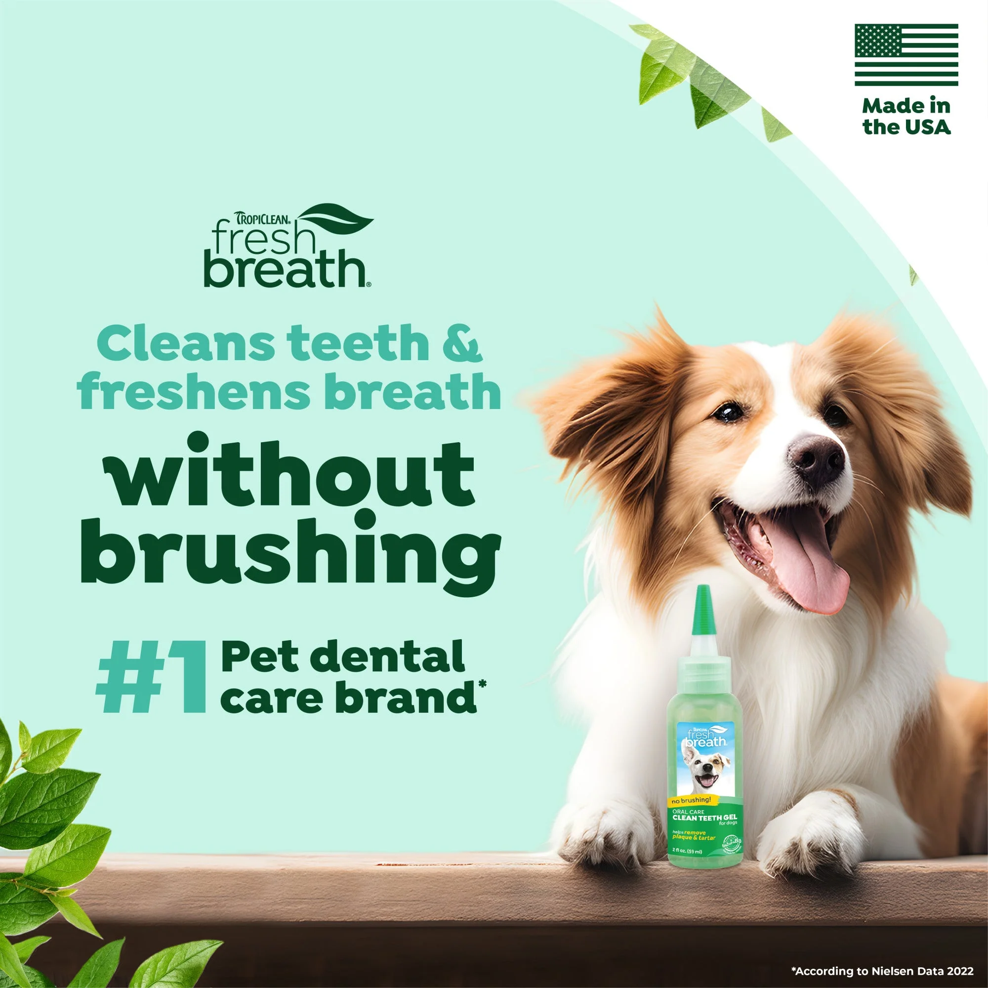 TropiClean Fresh Breath No Brushing Clean Teeth Dental & Oral Care Gel for Dogs - Image 3