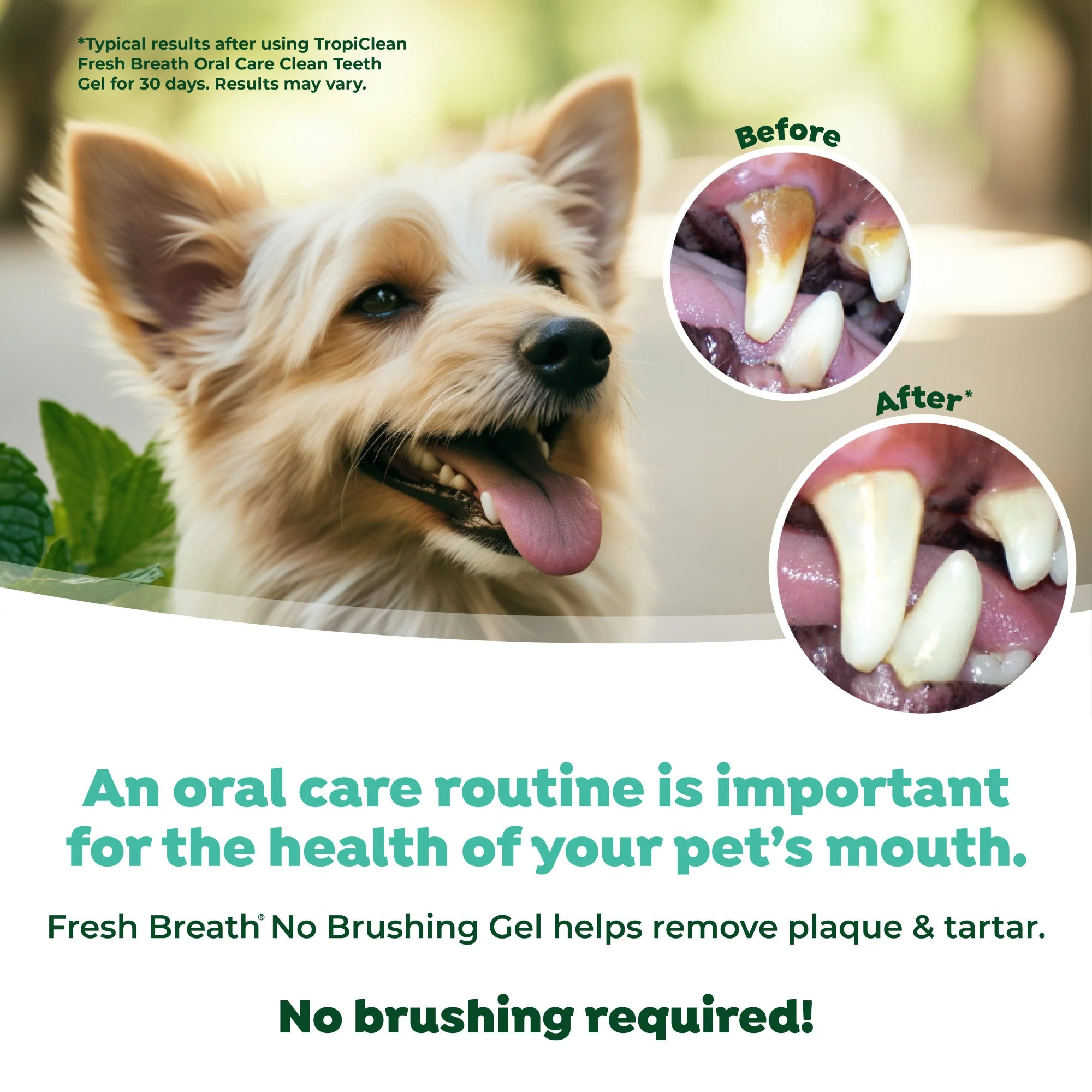 TropiClean Fresh Breath No Brushing Clean Teeth Dental & Oral Care Gel for Dogs - Image 6