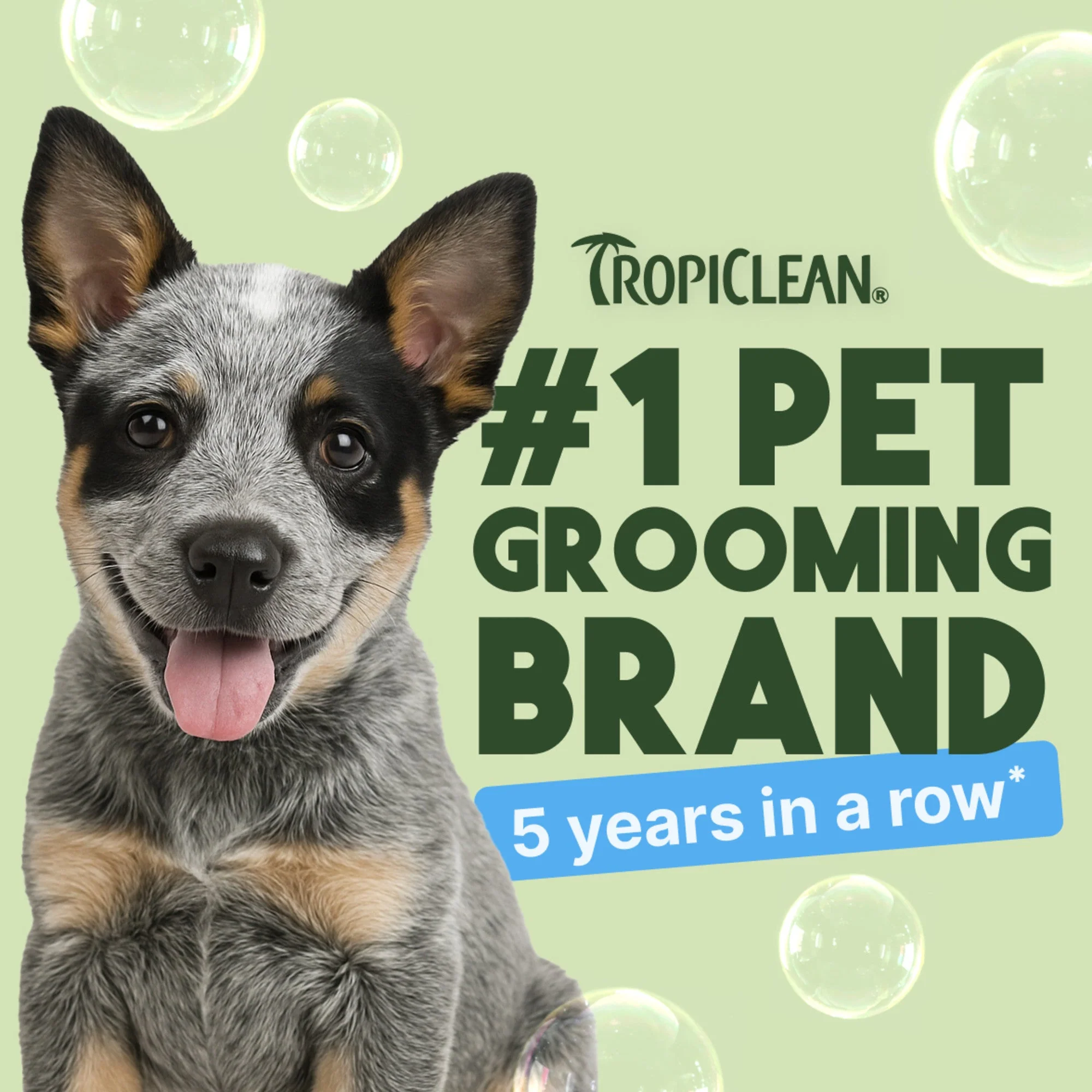 TropiClean Gentle Coconut Hypoallergenic Puppy & Kitten Shampoo - Image 4