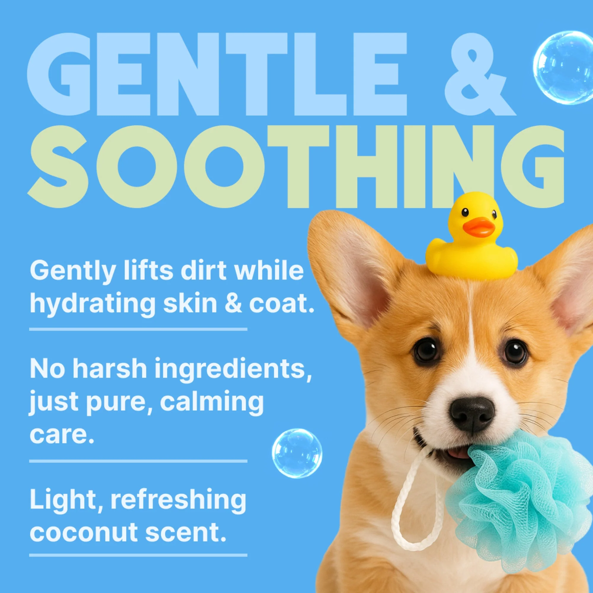 TropiClean Gentle Coconut Hypoallergenic Puppy & Kitten Shampoo - Image 5