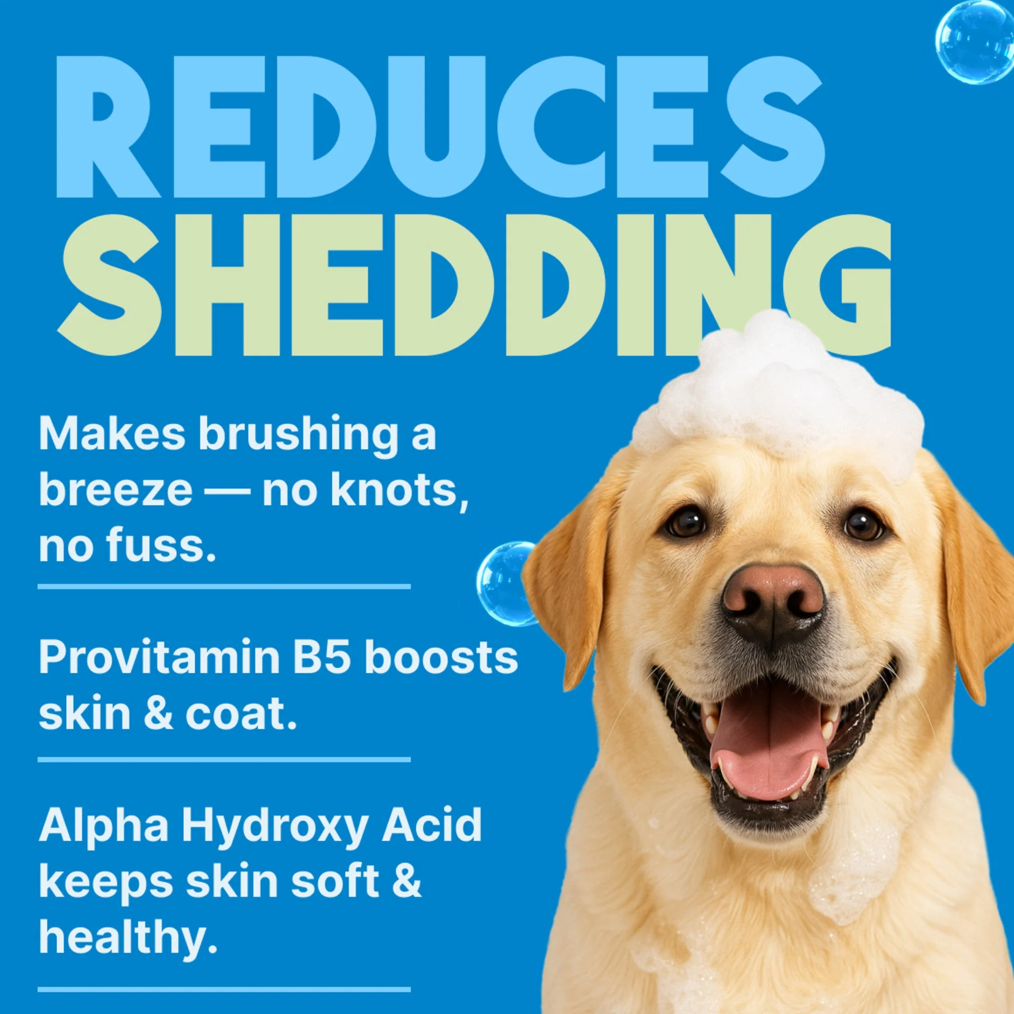 TropiClean Lime & Coconut Shed Control Shampoo for Pets - Image 5