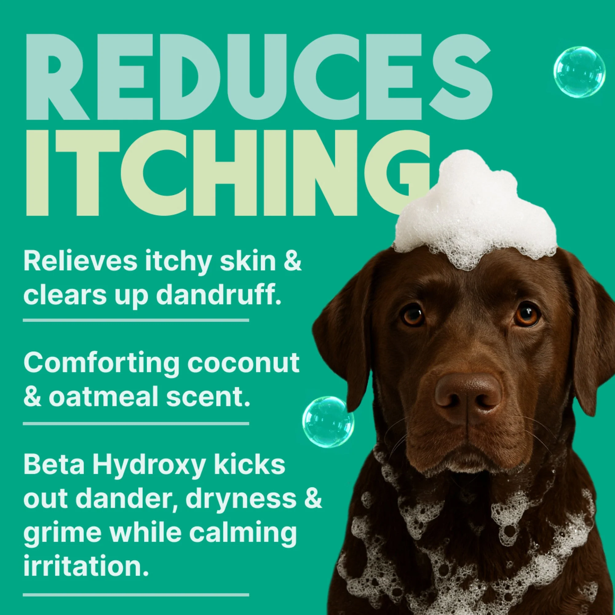 TropiClean Oatmeal & Tea Tree Medicated Itch Relief Shampoo for Pets - Image 5