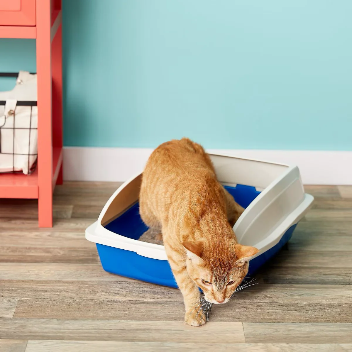 Vanness Cat Litter Pan & Rim - Image 3