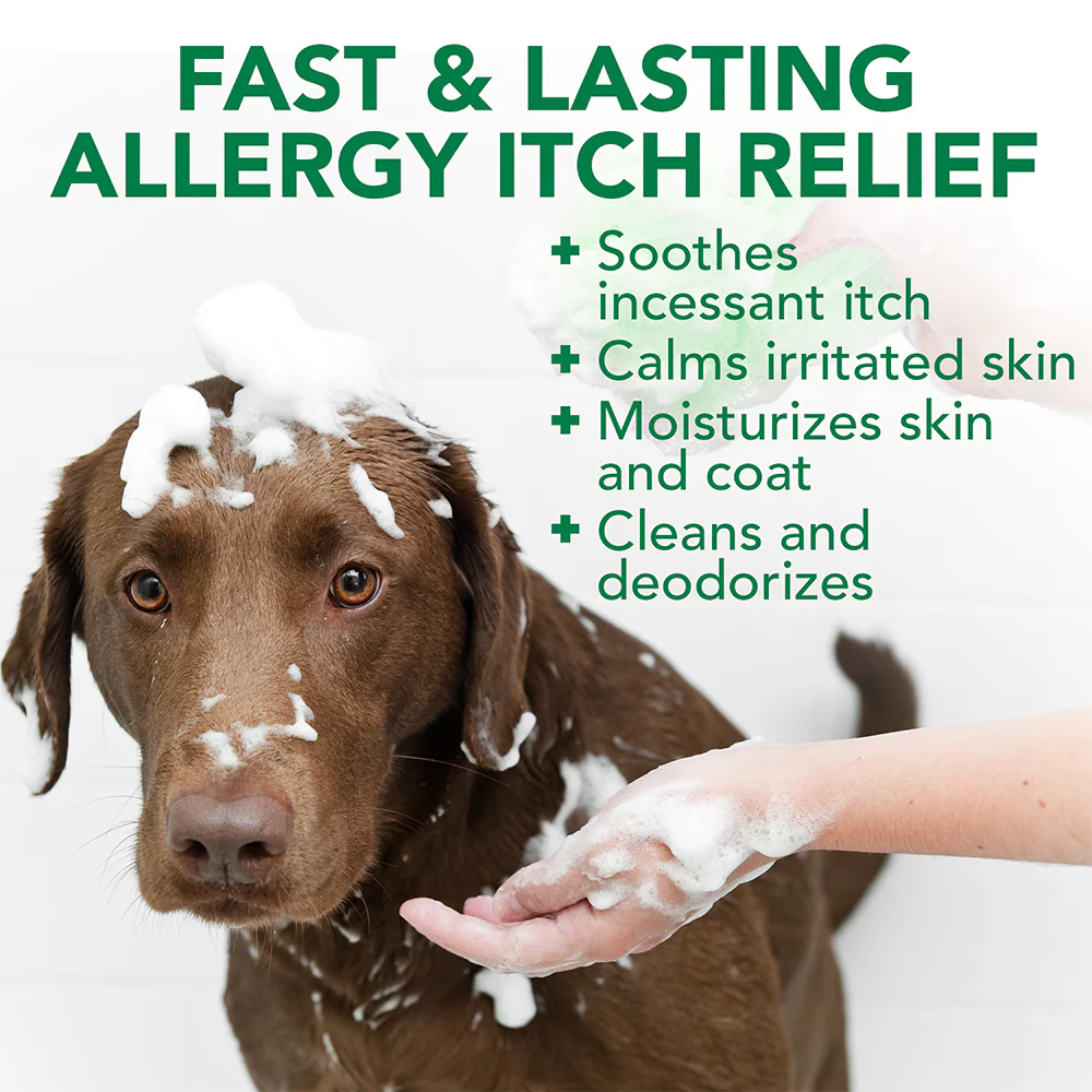 Vets Best Allergy Itch Relief Dog Shampoo - Image 3