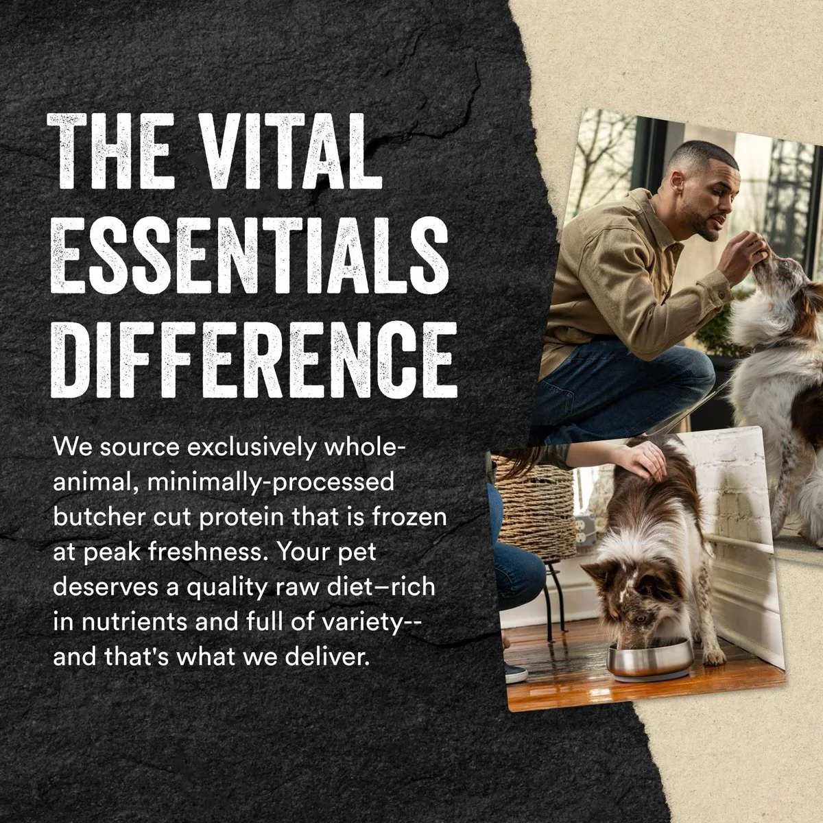 Vital Essentials Freeze Dried Treat Minnows - Image 5