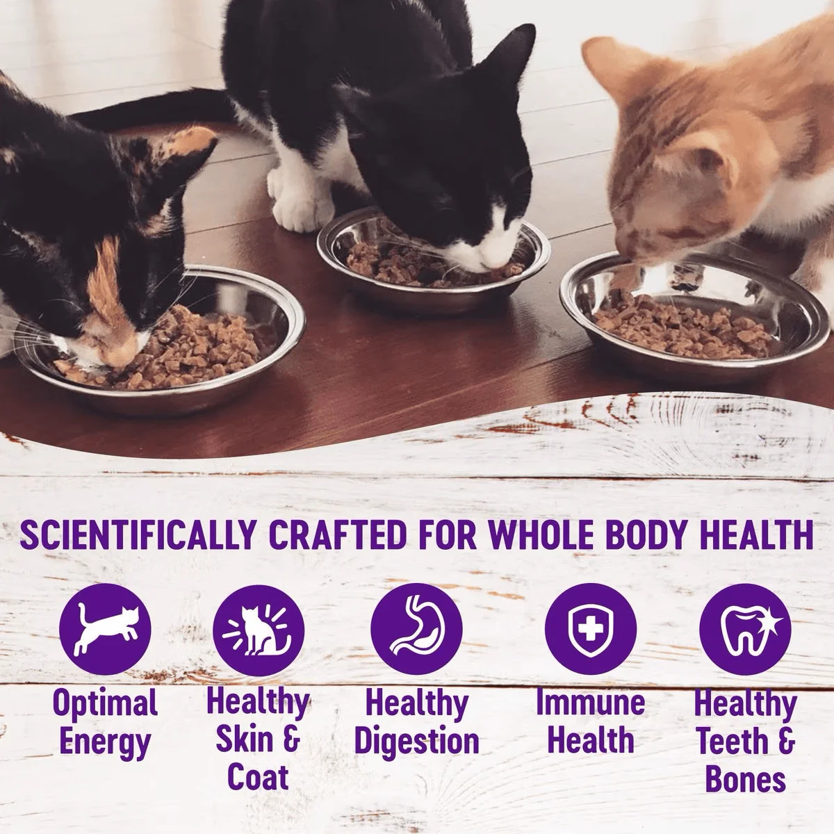 Wellness Complete Health Turkey Formula Grain-Free Canned Cat Food - Image 4