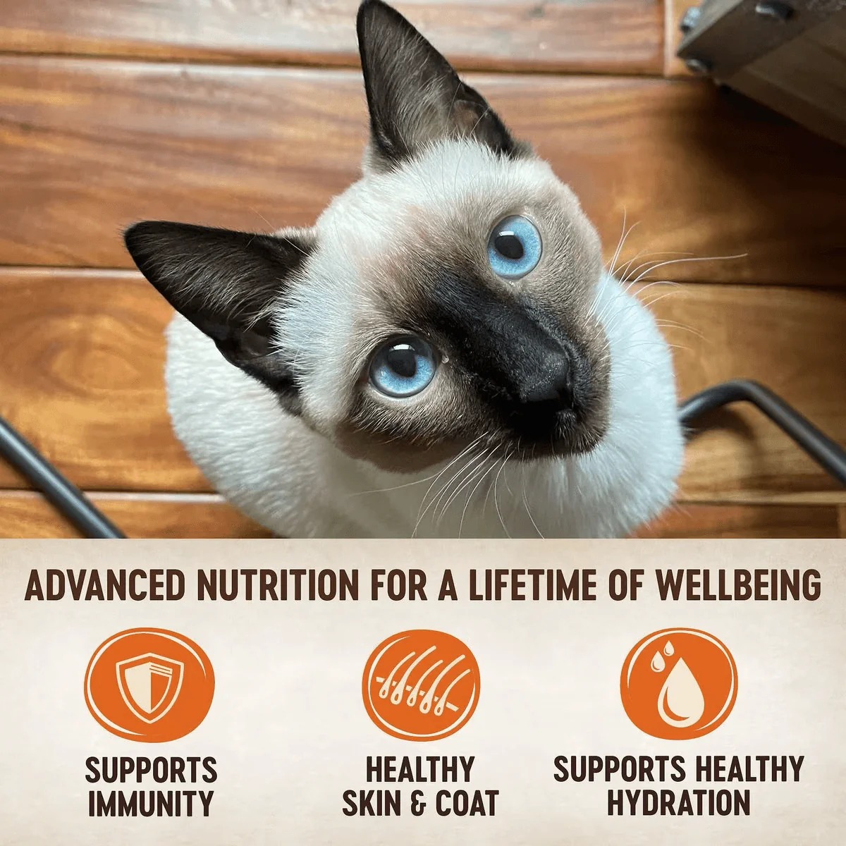 Wellness CORE Tiny Tasters Chicken & Beef Wet Cat Food - Image 3