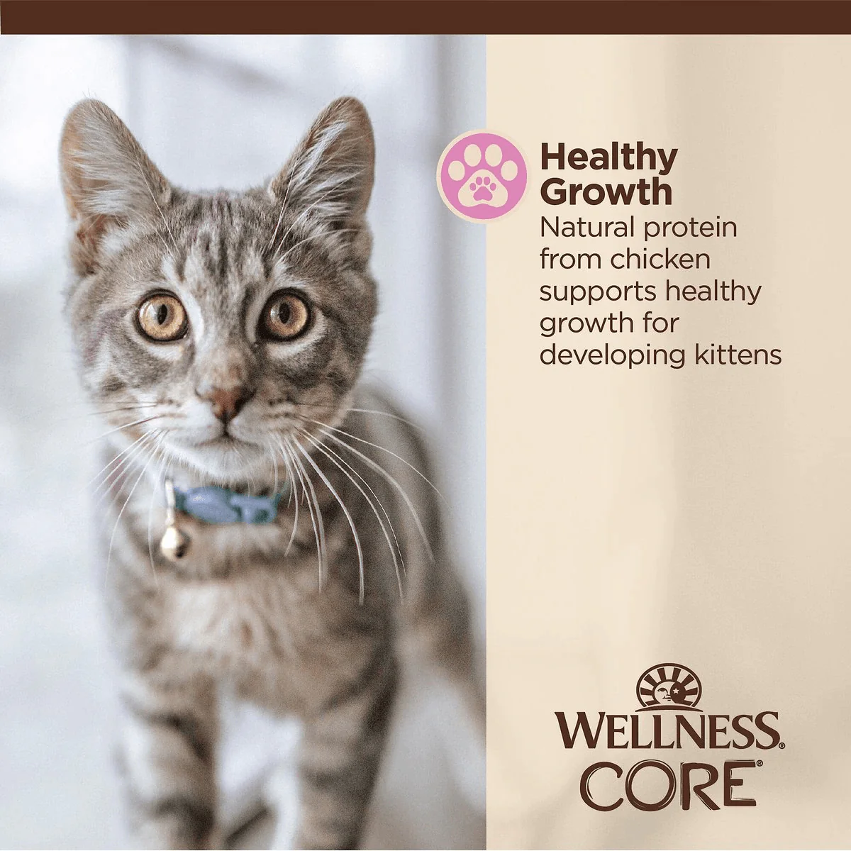 Wellness CORE Tiny Tasters Kitten Minced Chicken in Gravy Wet Cat Food - Image 5