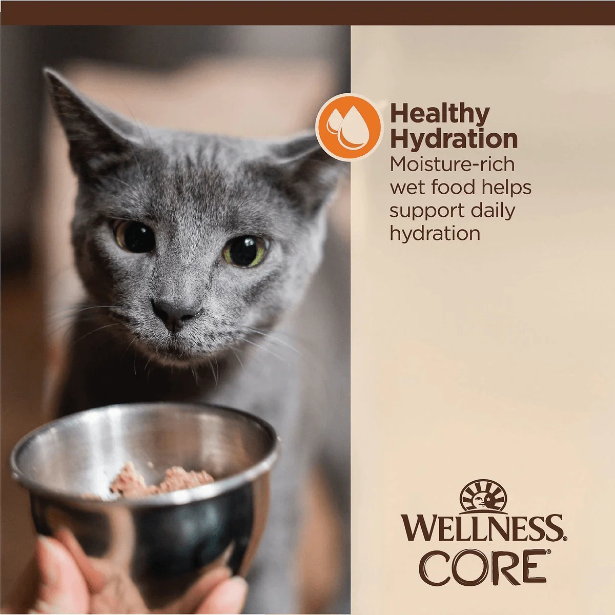 Wellness CORE Tiny Tasters Minced Chicken in Gravy Wet Cat Food - Image 5