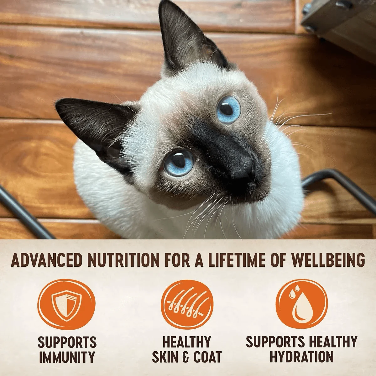 Wellness CORE Tiny Tasters Pâté Land Variety Pack - Image 4