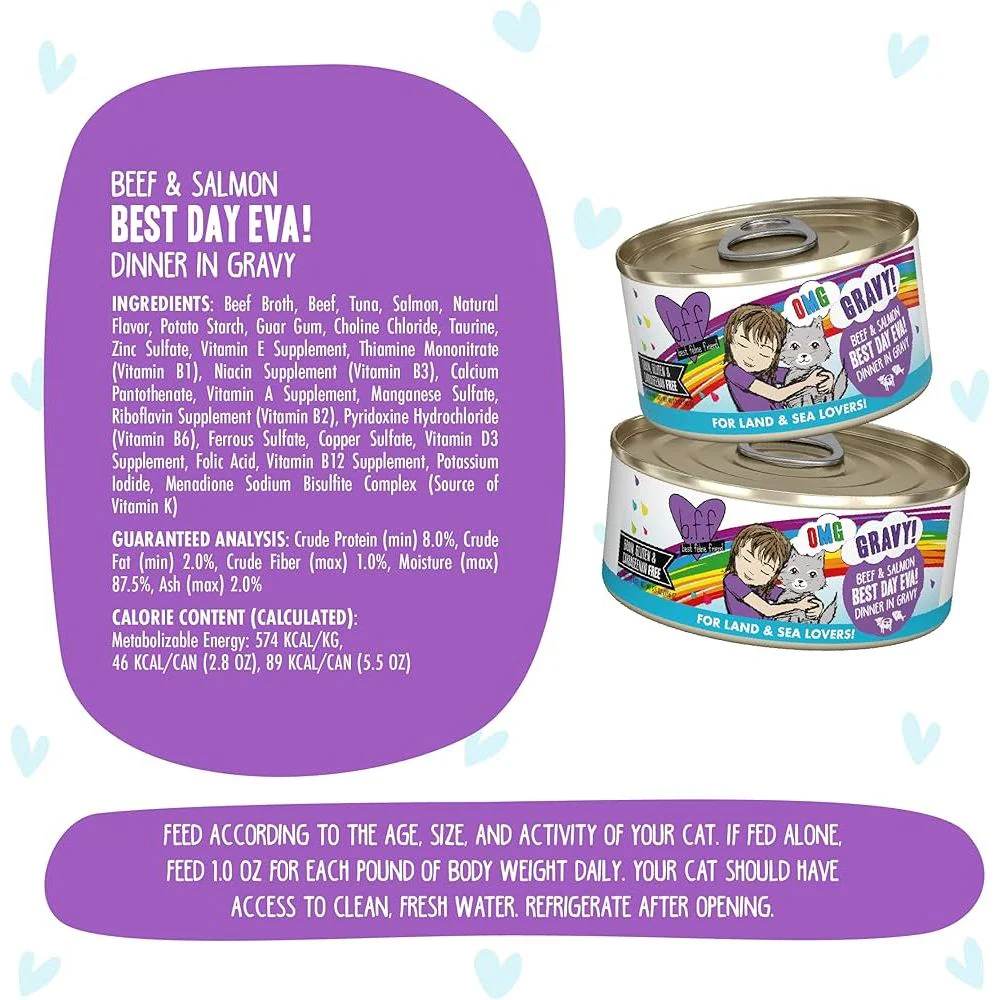 Weruva Wet Cat Food BFF Omg Best Day Eva Beef & Salmon Dinner  in Gravy - Image 3