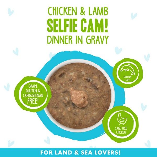 Weruva Wet Cat Food BFF Omg Selfie Cam! Chicken & Lamb Dinner in Gravy - Image 2