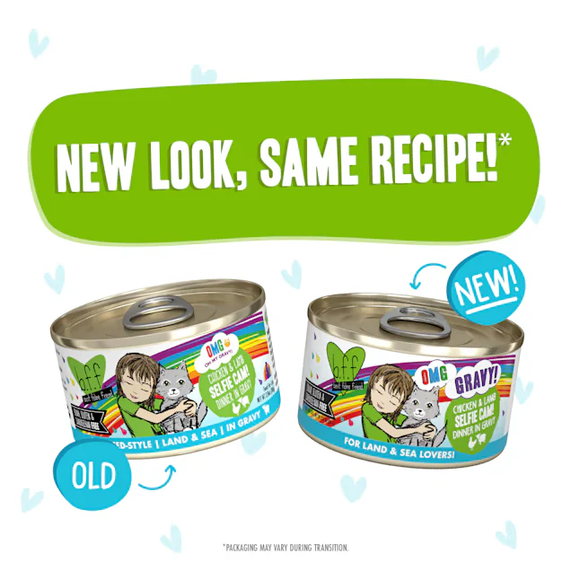 Weruva Wet Cat Food BFF Omg Selfie Cam! Chicken & Lamb Dinner in Gravy - Image 4