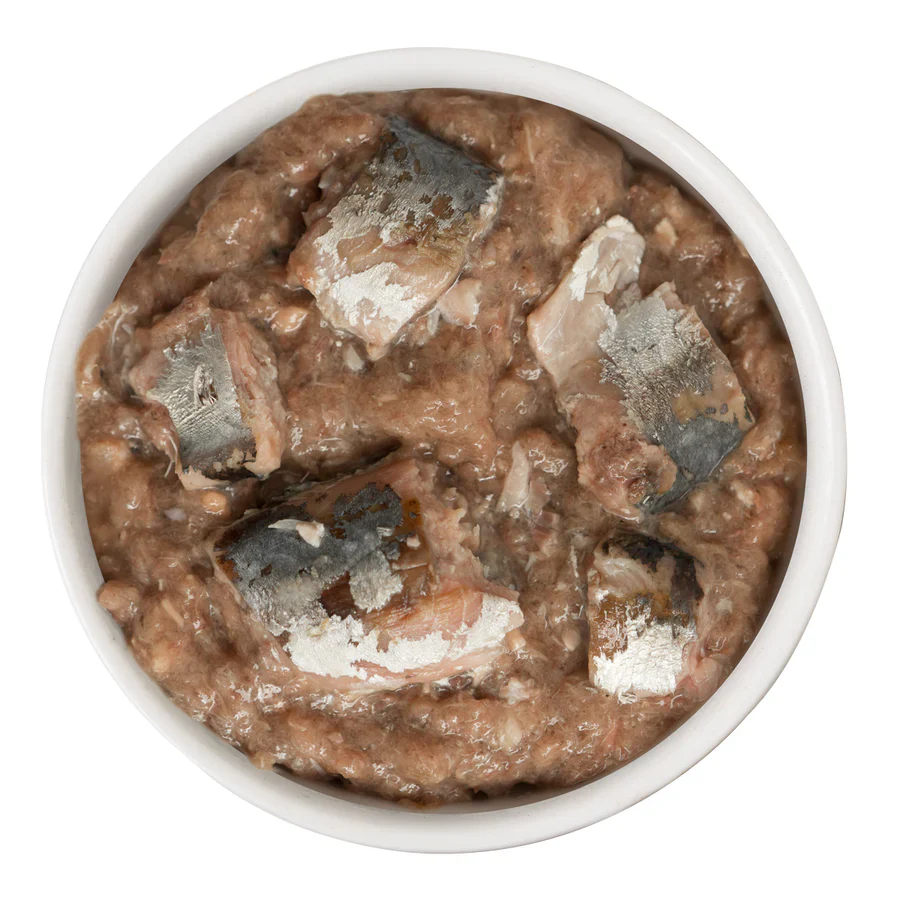 Weruva Wet Cat Food Kitty Gone Wild Salmon, Tuna, Sardine & Mackerel Pate with Shreds - Image 2