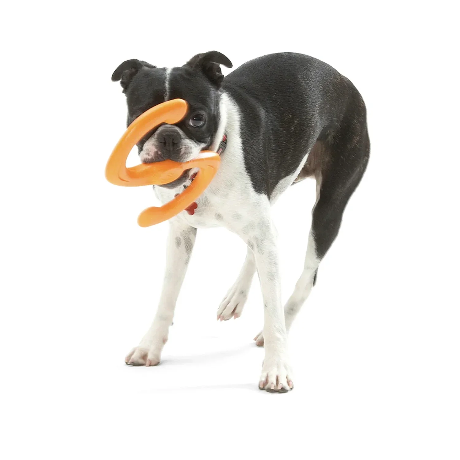 West Paw Zogoflex Active Bumi Tangerine - Image 4