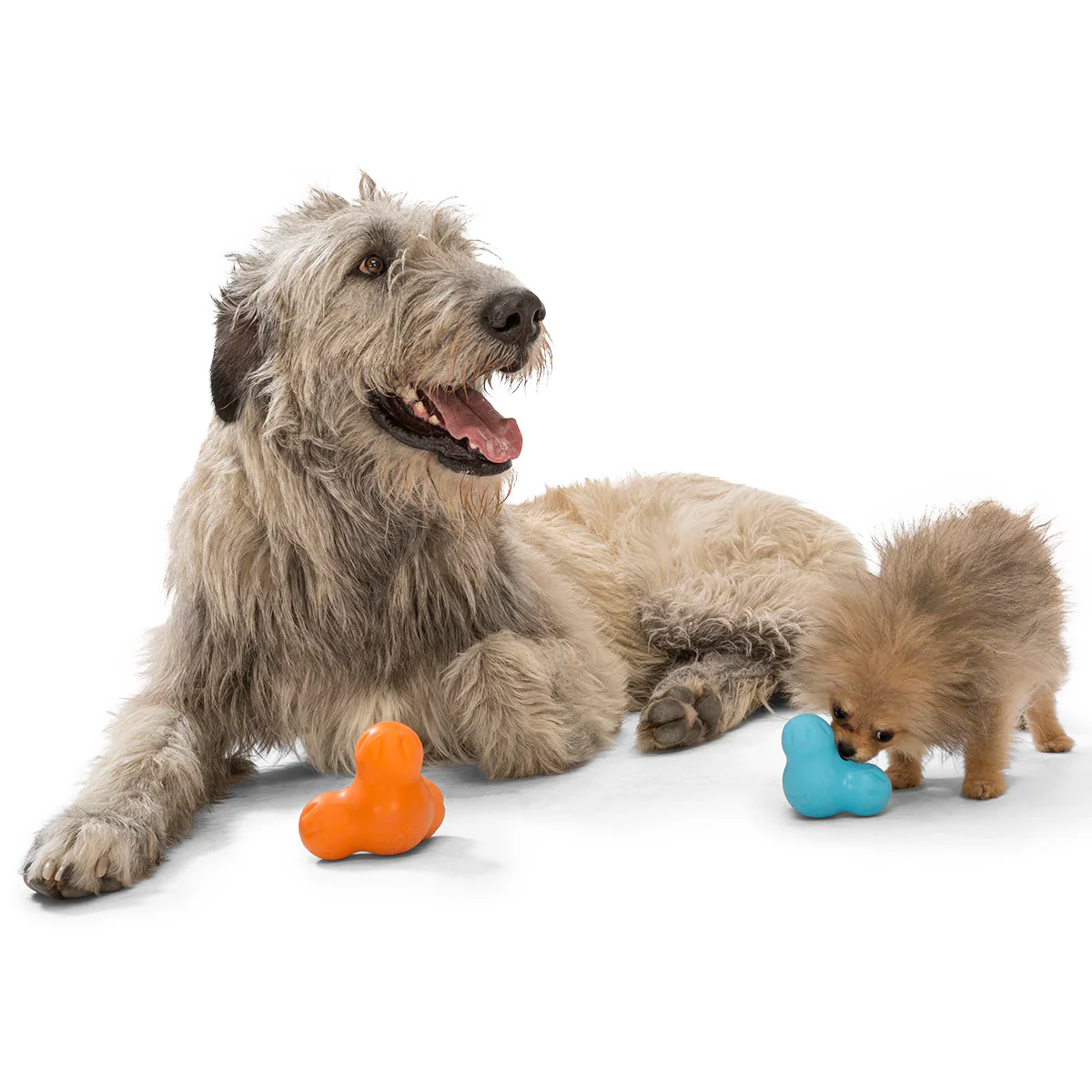 West Paw Zogoflex Chew Tux Aqua - Image 6