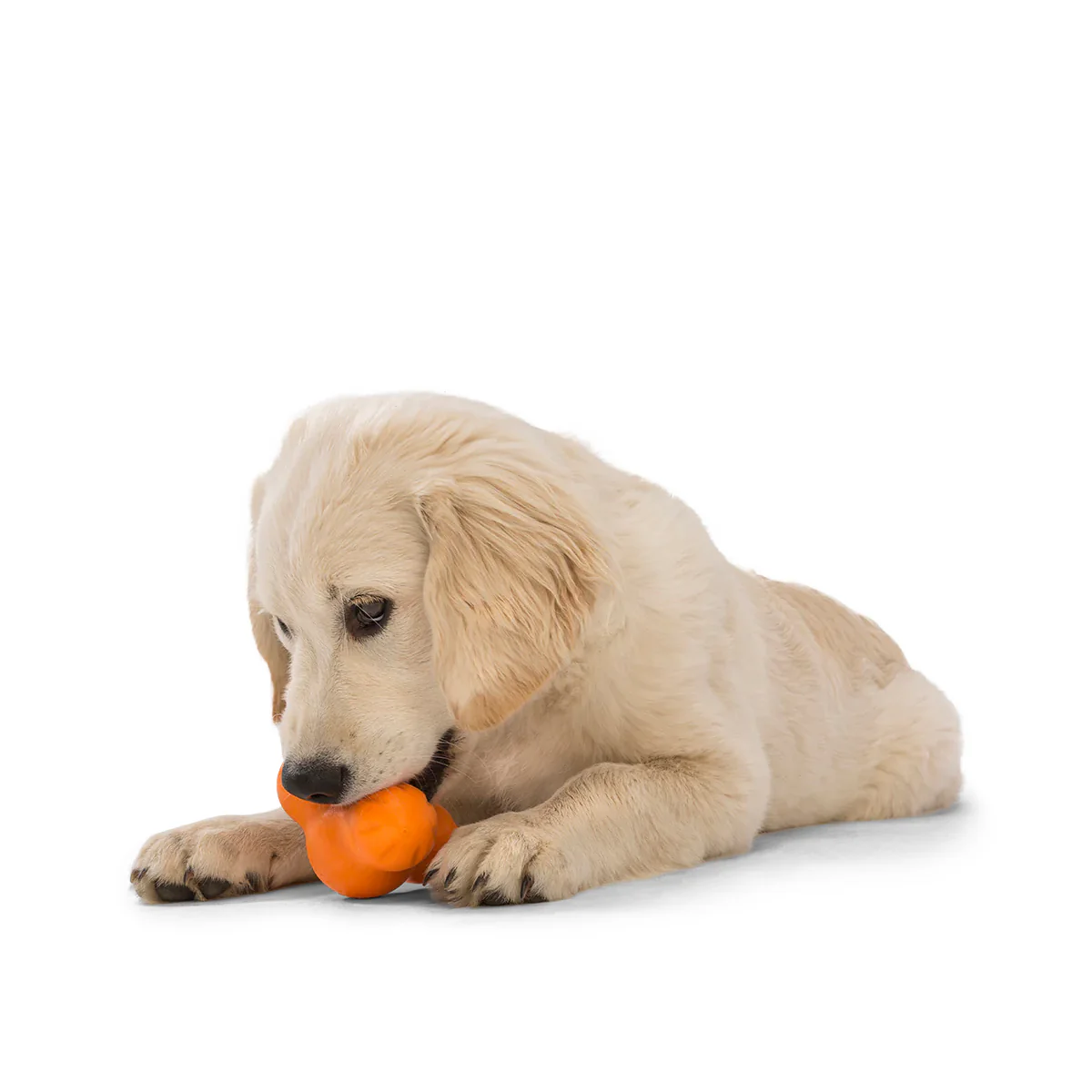 West Paw Zogoflex Chew Tux Tangerine - Image 5