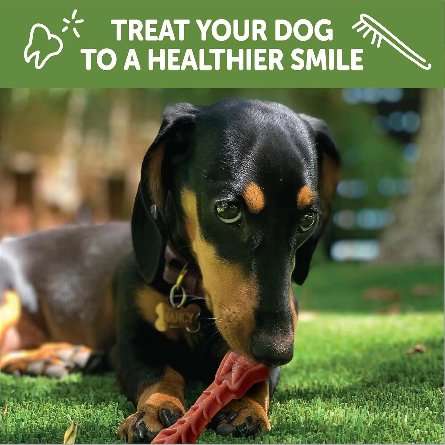 Whimzees Natural Grain Free Daily Dental Long Lasting Dog Treats Brushzees - Image 6
