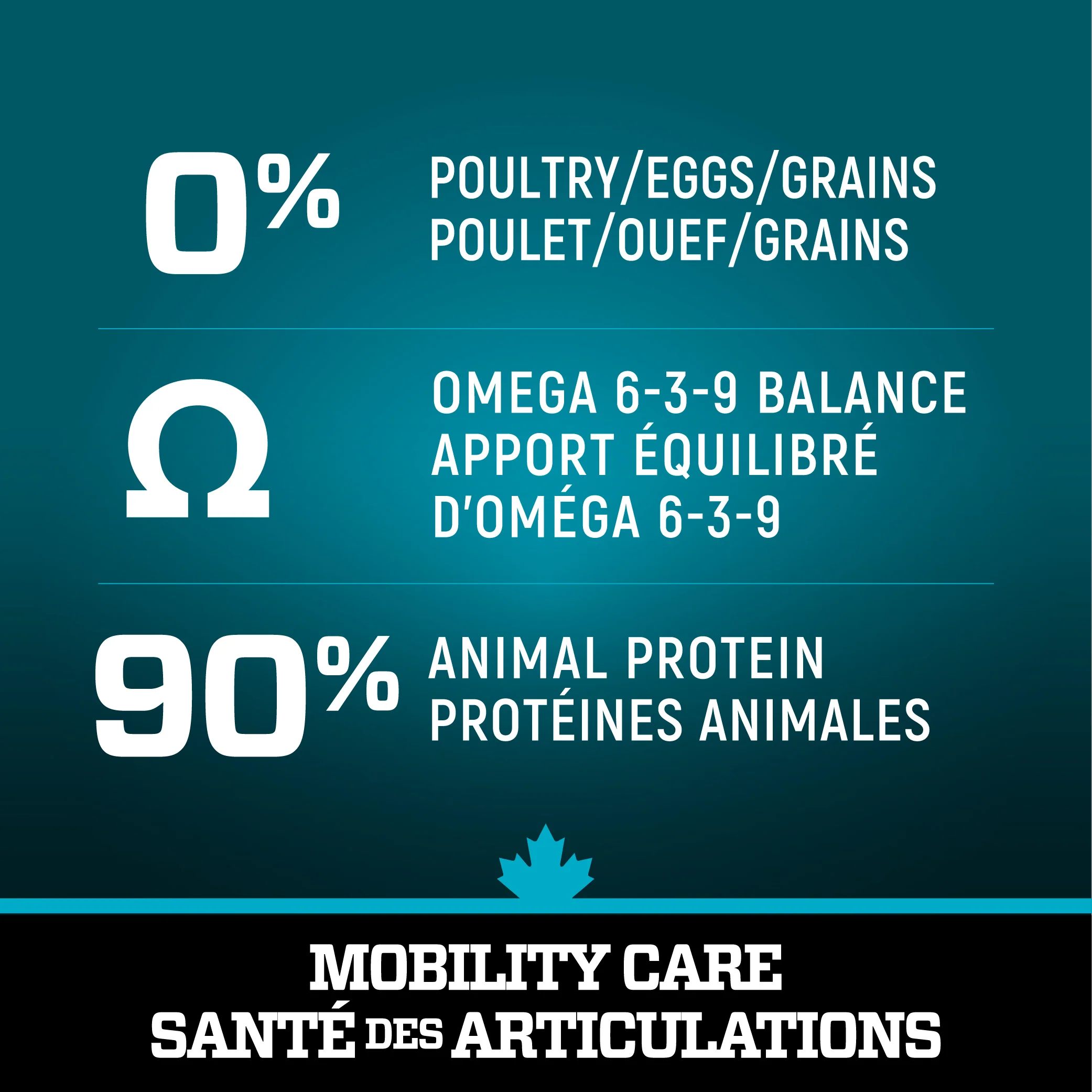 Wholesome Blend Dog Food Large Breed Mobility Care Salmon and Pumpkin Recipe - Image 4