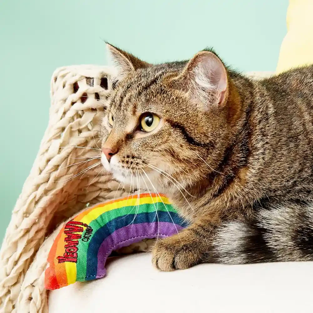 Yeowww Rainbow Cat - Image 4