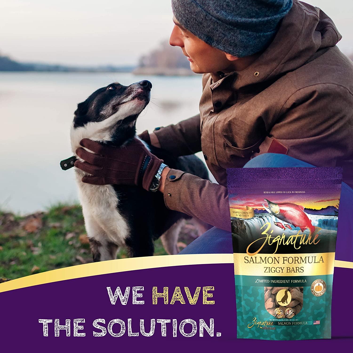 Zignature Salmon Formula Biscuit Treats for Dogs - Image 6