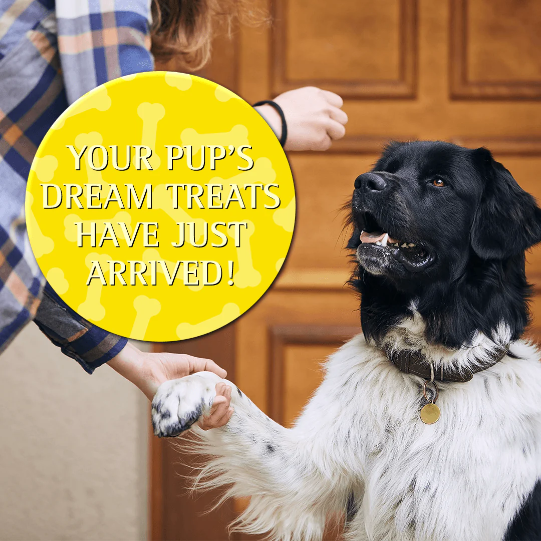 Zignature Turkey Formula Soft Moist Treats for Dogs - Image 6