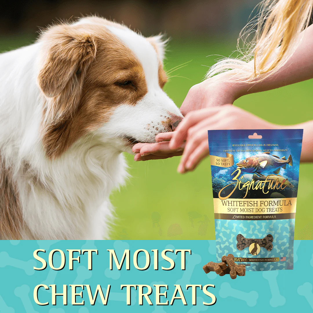 Zignature Whitefish Formula Soft Moist Treats for Dogs - Image 5