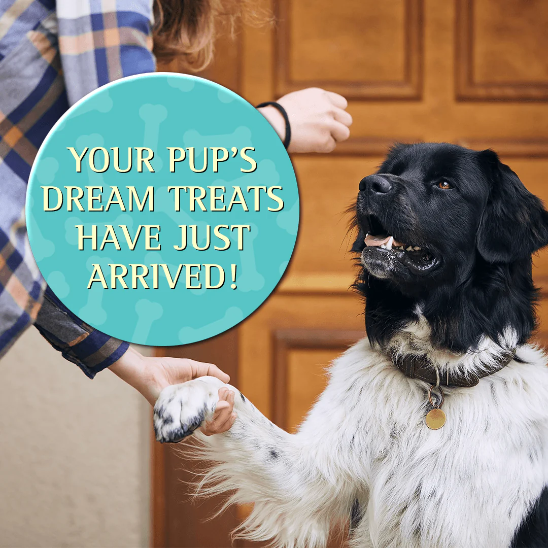 Zignature Whitefish Formula Soft Moist Treats for Dogs - Image 6