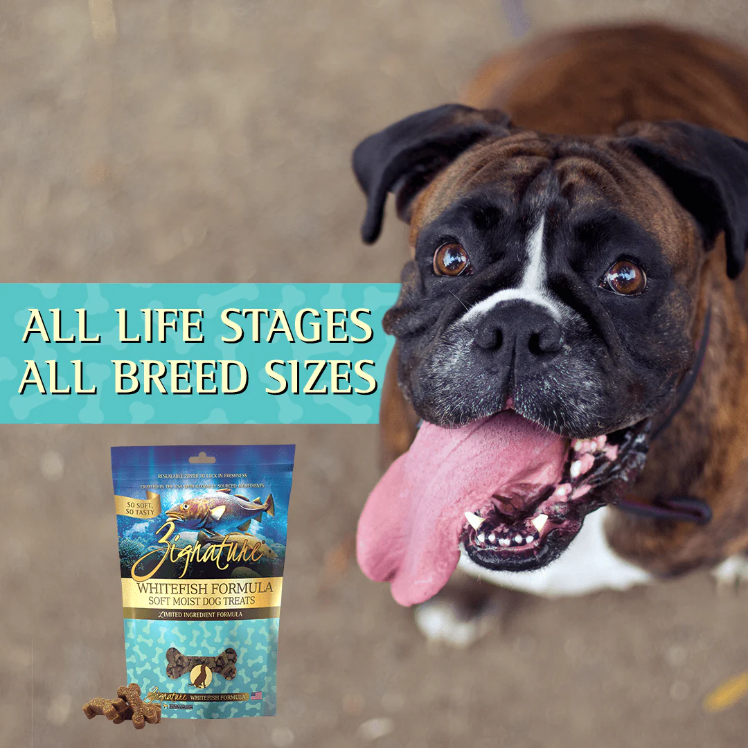Zignature Whitefish Formula Soft Moist Treats for Dogs - Image 9
